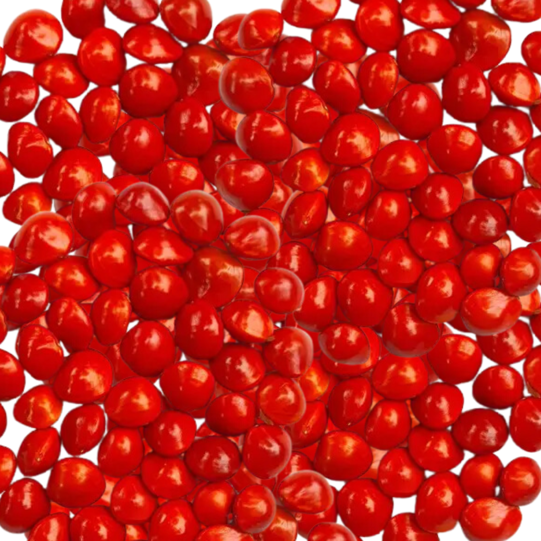 Why Manjadi Kuru | Manjadi Seeds | Red Seeds are important for Guruvayoorappan ?