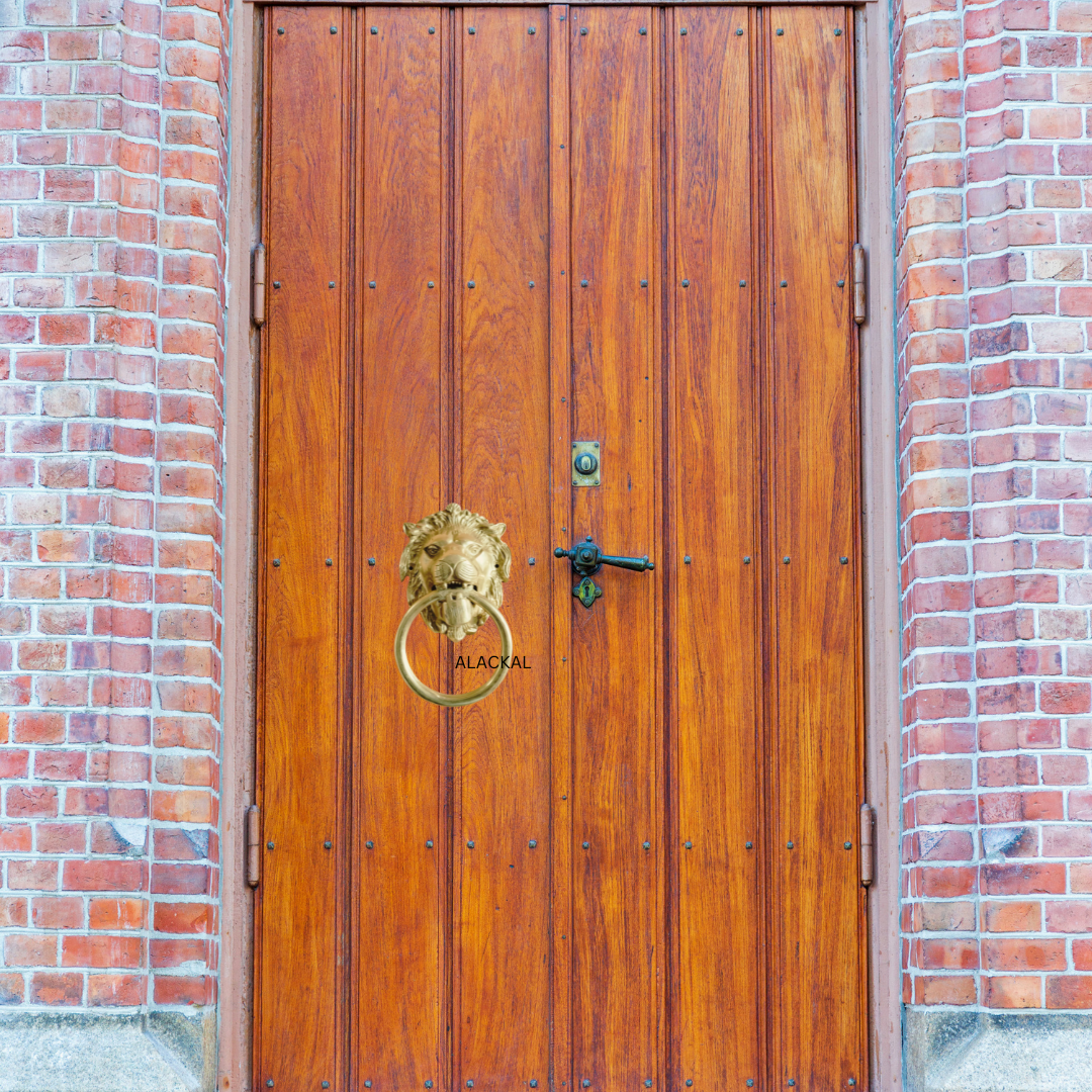 BRASS LION HEADED DOOR KNOCKER WITH SCREWS