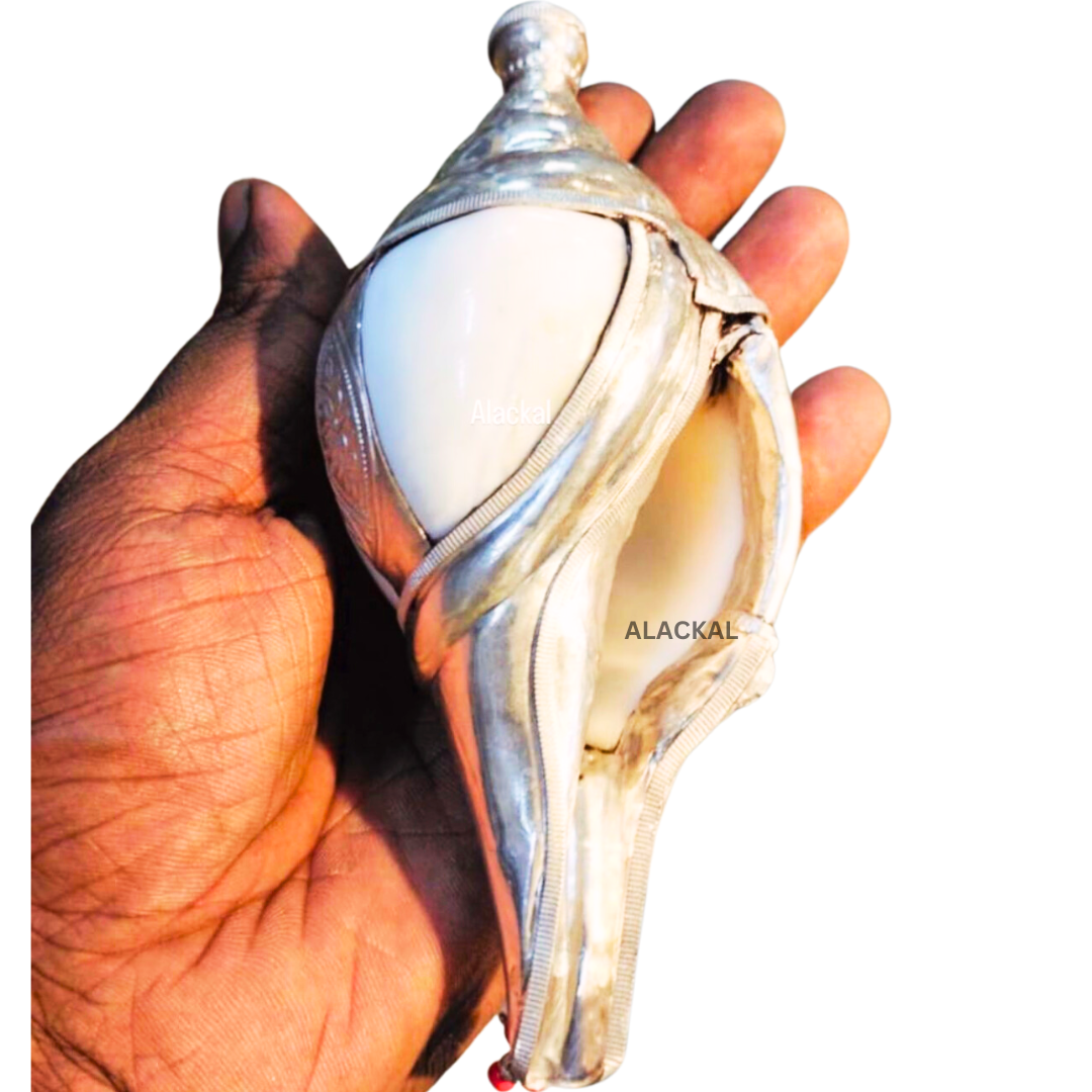 SILVER SHANKH / CONCH